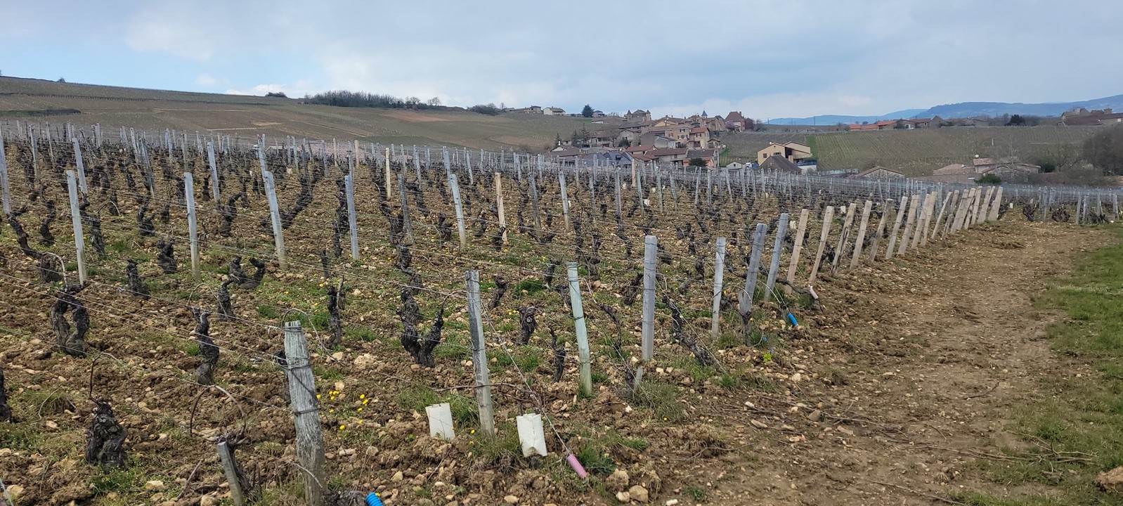 Pouilly-Fuissé Pouilly-Fuissé